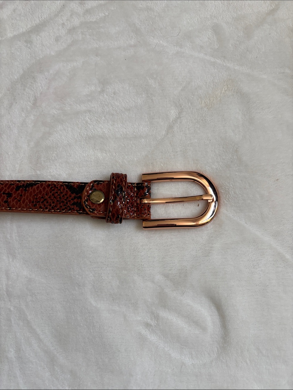 Brown Textured Leather Belt with Gold Buckle - Picture 3 of 6